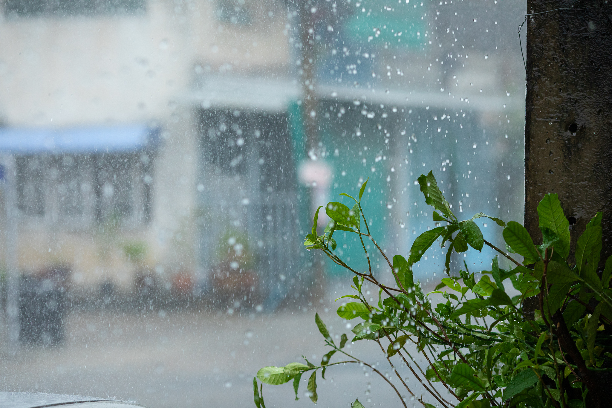 กรมอุตุฯ เตือน ฝนฟ้าคะนอง ภาคเหนือ เฝ้า “ระวังน้ำท่วมฉับพลัน-น้ำป่าไหลหลาก”