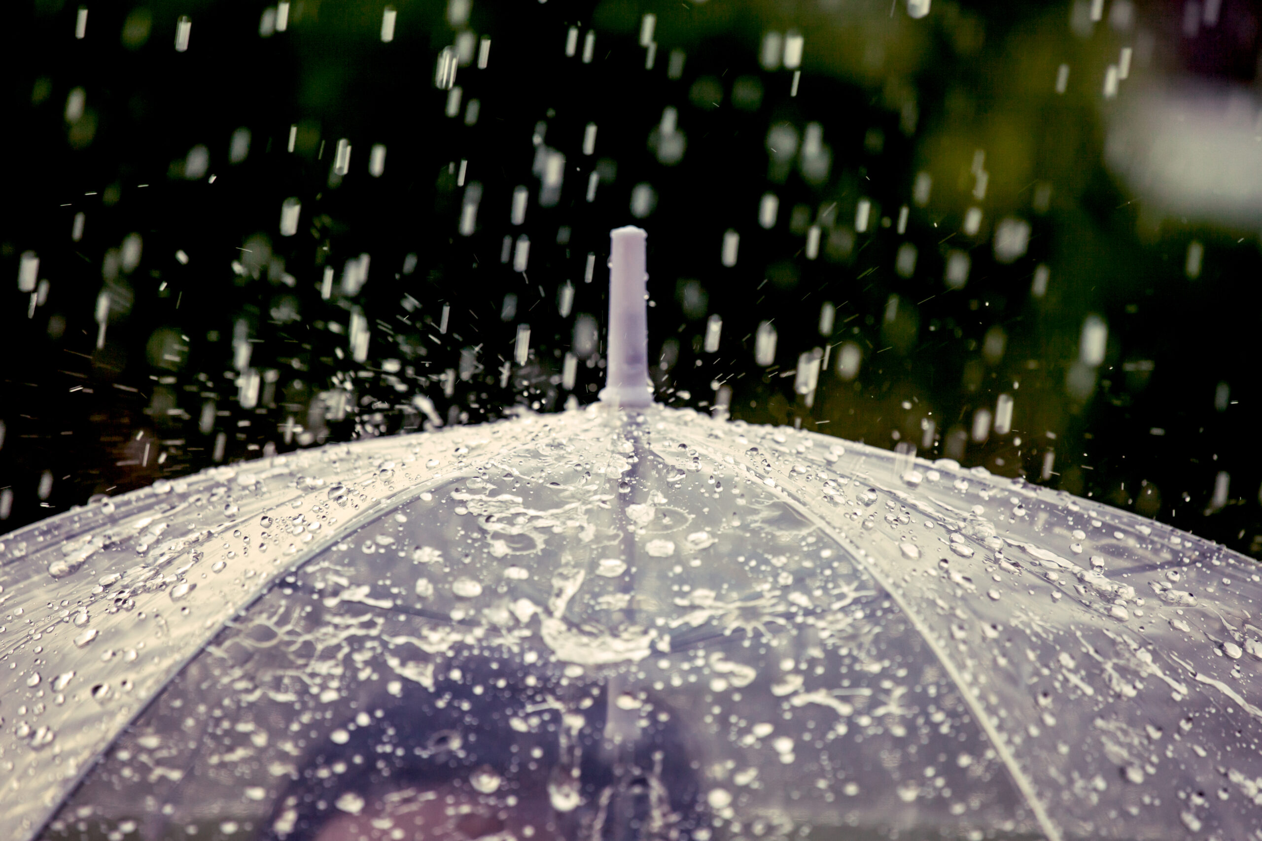 เปิดจังหวัดเสี่ยง “ฝนตกหนักถึงหนักมาก” ระวังน้ำท่วมฉับพลัน