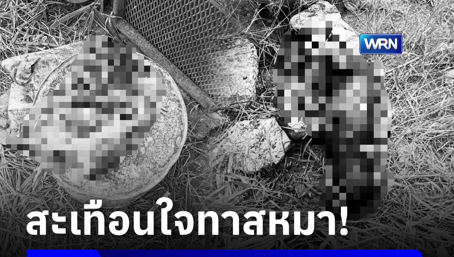ทาสหมาใจสลาย! สาวโพสต์ขอความเป็นธรรม หลัง “เฉาก๊วย” สุนัขแสนรักถูกคนงานแคมป์ก่อสร้างทำร้ายก่อนนำไปเผาซ้ำ อ้างฉุนสุนัขมากัดไก่ก่อน