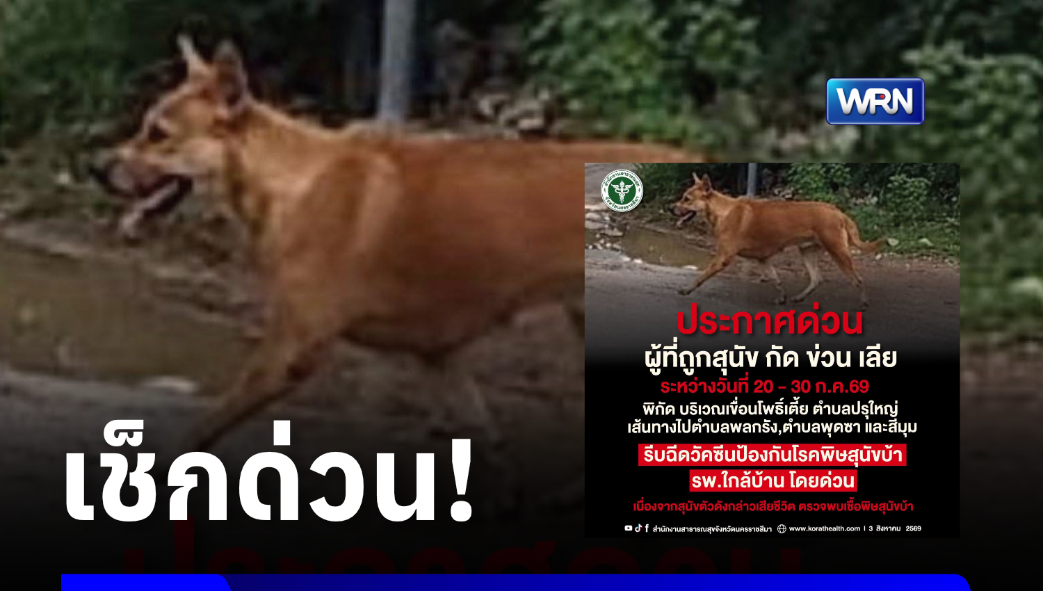 ด่วน! สสจ.โคราช ตามหาผู้ถูกสุนัขกัด-ข่วน-เลีย รีบพบแพทย์ด่วน